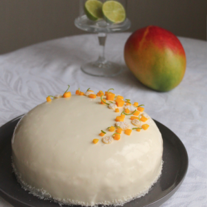 Entremet-Mangue-Coco-4