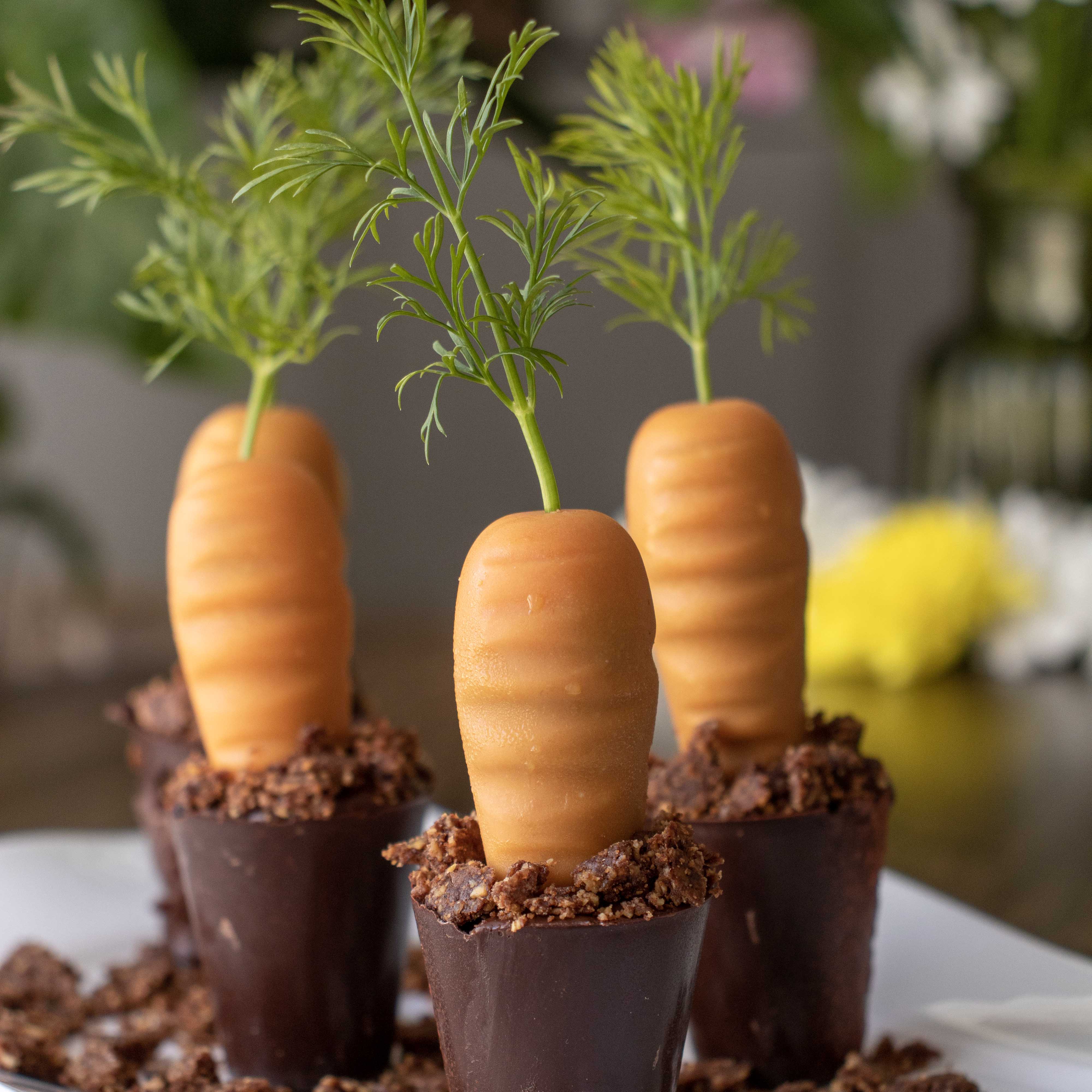 Carrot Cake & Chocolat